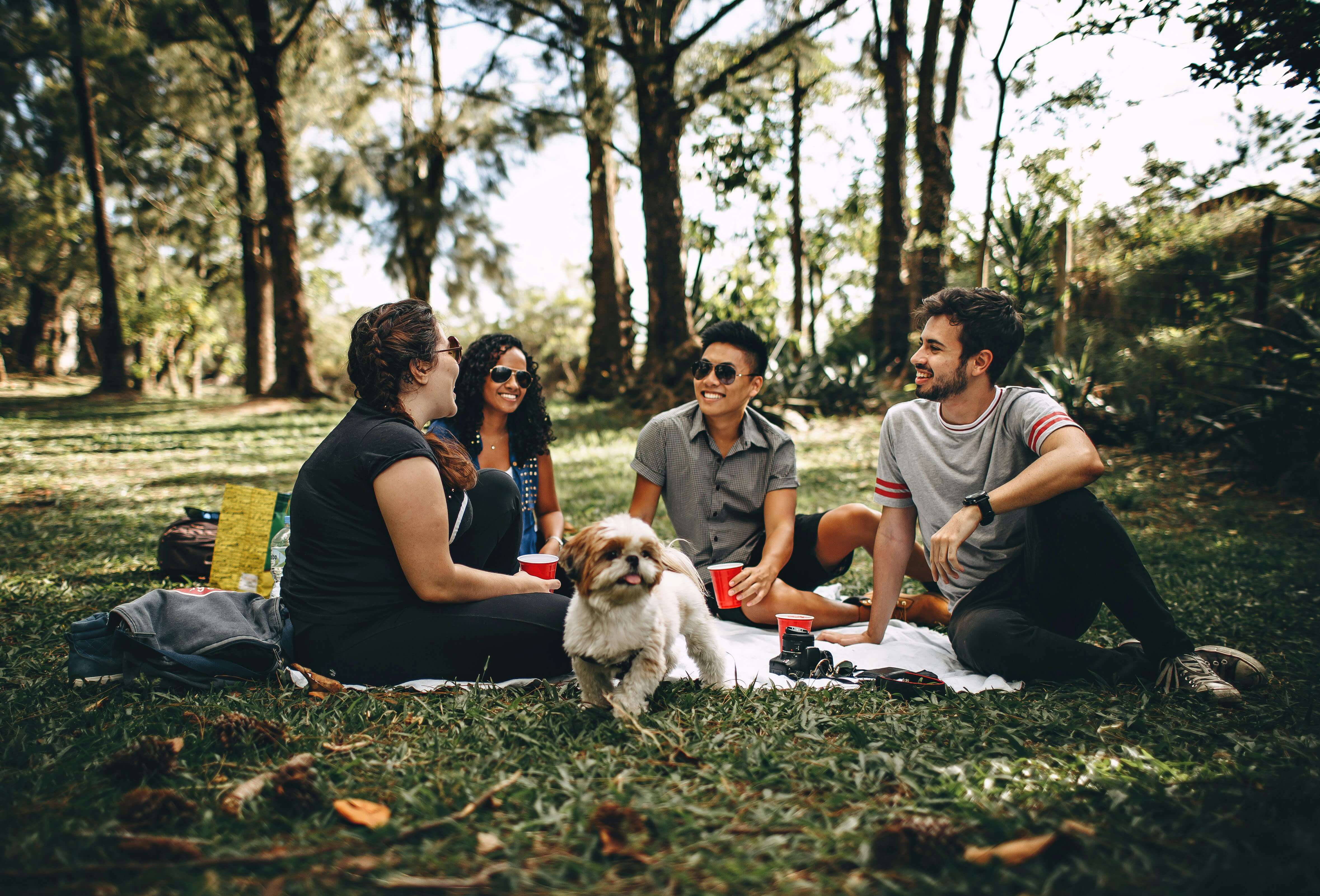 Des étudiants qui profitent d'un moment convivial dans un parc après les cours.