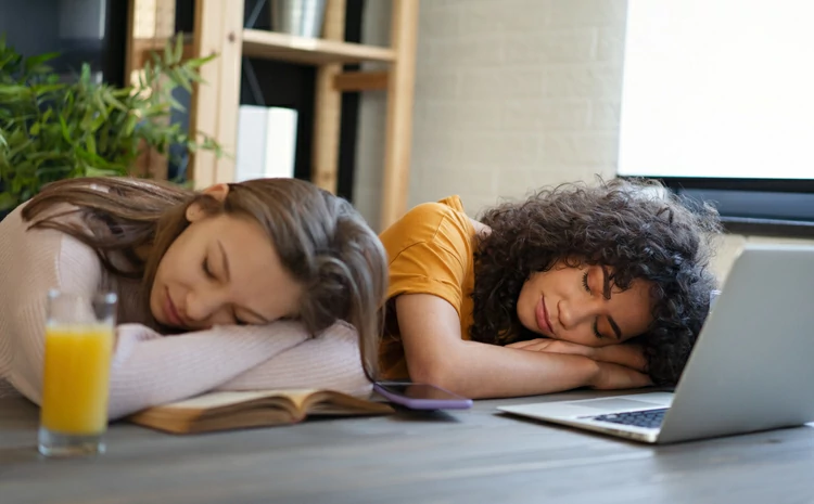 colocation à Paris 12 : deux étudiantes profitent de la pause entre les études pour faire une sieste.